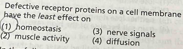 Defective receptor proteins on a cell membrane
have the least effect on
(1) homeostasis (3) nerve signals
(2) muscle activity (4) diffusion