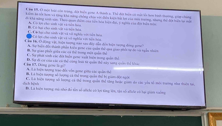 Ở một loài côn trùng, đột biến gene A thành a. Thể đột biến có mắt lồi hơn bình thường, giúp chúng
kiểm ăn tốt hơn và tăng khả năng chống chịu với điều kiện bắt lợi của môi trường, nhưng thể đột biến lại mắt
đi khả năng sinh sản. Theo quan điểm của tiến hóa hiện đại, ý nghĩa của đột biển trên:
A. Có lợi cho sinh vật và tiến hóa
B. Có hại cho sinh vật và tiến hóa.
C. Có hại cho sinh vật và vô nghĩa với tiển hóa.
Có lợi cho sinh vật và vô nghĩa với tiến hóa.
Câu 16. Ở động vật, hiện tượng nào sau đây dẫn đến hiện tượng dòng gene?
A. Sự biến đổi thành phần kiểu gene của quần thể qua giao phối tự do và ngẫu nhiên
B. Sự giao phối giữa các cá thể trong một quần thể
C. Sự phát sinh các đột biến gene xuất hiện trong quần thể.
D. Sự đi cư của các cá thể cùng loài từ quần thể này sang quần thể khác.
Câu 17. Dòng gene là gi?
A. Là hiện tượng trao đồi vốn gene giữa các quần thể
B. Là hiện tượng số lượng cá thể trong quân thể bị giám đột ngột
C. Là hiện tượng số lượng cá thể trong quần thể tăng hoặc giảm do các yếu tố môi trường như thiên tai,
dịch bệnh
D. Là hiện tượng mà nhớ đổ tần số allele có lợi tăng lên, tận số allele có hại giảm xuống