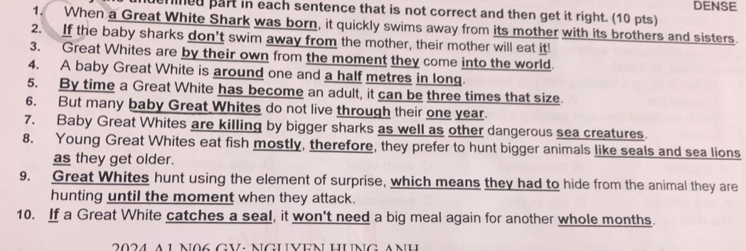 DENSE 
denned part in each sentence that is not correct and then get it right. (10 pts) 
1. When a Great White Shark was born, it quickly swims away from its mother with its brothers and sisters. 
2. If the baby sharks don't swim away from the mother, their mother will eat it! 
3. Great Whites are by their own from the moment they come into the world. 
4. A baby Great White is around one and a half metres in long. 
5. By time a Great White has become an adult, it can be three times that size. 
6. But many baby Great Whites do not live through their one year. 
7. Baby Great Whites are killing by bigger sharks as well as other dangerous sea creatures. 
8. Young Great Whites eat fish mostly, therefore, they prefer to hunt bigger animals like seals and sea lions 
as they get older. 
9. Great Whites hunt using the element of surprise, which means they had to hide from the animal they are 
hunting until the moment when they attack. 
10. If a Great White catches a seal, it won't need a big meal again for another whole months. 
2024 A 1 N06 GV: NGUVEN HUNG ANH