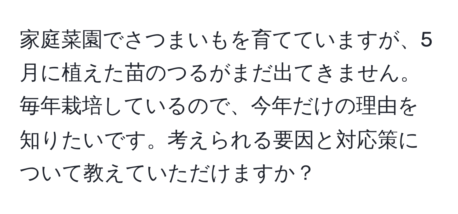 家庭菜園でさつまいもを育てていますが、5月に植えた苗のつるがまだ出てきません。毎年栽培しているので、今年だけの理由を知りたいです。考えられる要因と対応策について教えていただけますか？