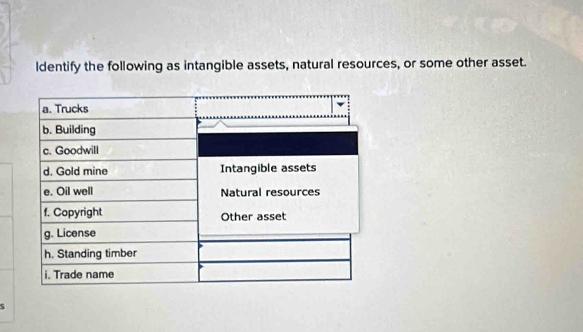 ldentify the following as intangible assets, natural resources, or some other asset. 
S