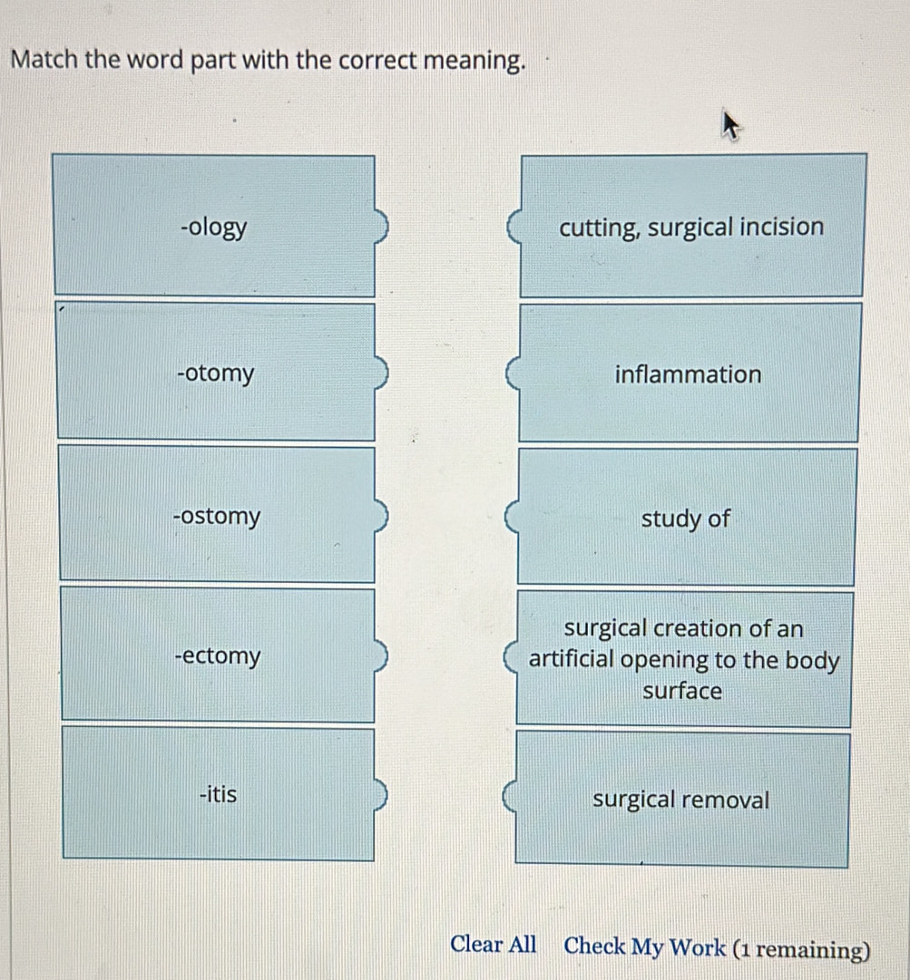 Match the word part with the correct meaning.
-ology cutting, surgical incision
-otomy inflammation
-ostomy study of
surgical creation of an
-ectomy artificial opening to the body
surface
-itis surgical removal
Clear All Check My Work (1 remaining)