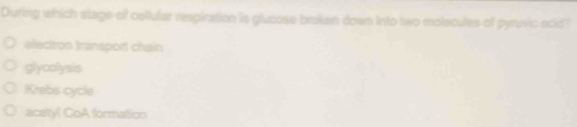 During which stage of cellular respiration is glucose brokan down into two molecules of pyruvic ecid?
ellectron transport chain
glycolysis
Krebs cycle
acetyl CoA formation