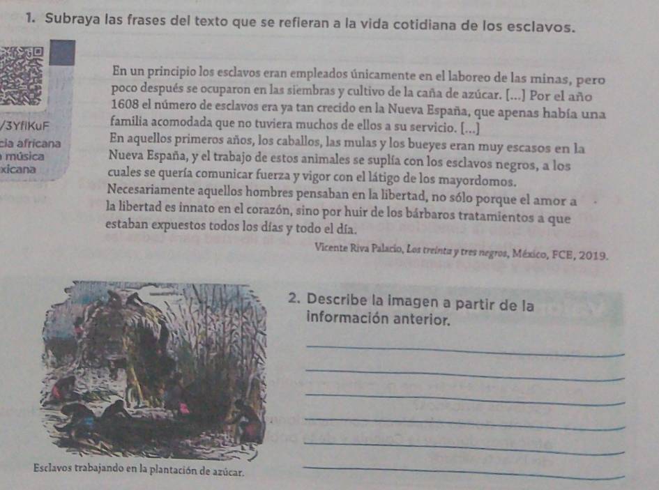 Subraya las frases del texto que se refieran a la vida cotidiana de los esclavos. 
En un principio los esclavos eran empleados únicamente en el laboreo de las minas, pero 
poco después se ocuparon en las siembras y cultivo de la caña de azúcar. [...] Por el año 
1608 el número de esclavos era ya tan crecido en la Nueva España, que apenas había una 
/3YfiKuF familia acomodada que no tuviera muchos de ellos a su servicio. [...] 
cia afrícana En aquellos primeros años, los caballos, las mulas y los bueyes eran muy escasos en la 
música Nueva España, y el trabajo de estos animales se suplía con los esclavos negros, a los 
xicana cuales se quería comunicar fuerza y vigor con el látigo de los mayordomos. 
Necesariamente aquellos hombres pensaban en la libertad, no sólo porque el amor a 
la libertad es innato en el corazón, sino por huir de los bárbaros tratamientos a que 
estaban expuestos todos los días y todo el día. 
Vicente Riva Palacio, Los treinta y tres negros, México, FCE, 2019. 
2. Describe la imagen a partir de la 
información anterior. 
_ 
_ 
_ 
_ 
_ 
n la plantación de azúcar._