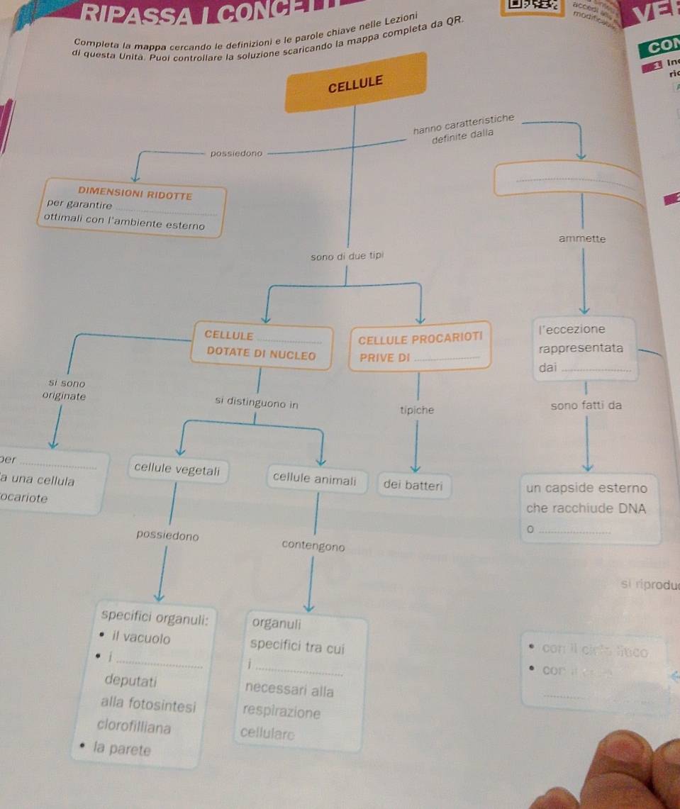 RIPASSA LCONCED 

accedi ak 
Completa la mappa cercando le definizioni e le parole chiavé nelle Lezioni 
modifican 
ppa completa da QR. 
CON 
in 
ri 
per_ 
a una cellula 
ocariote 
si riprodu 
anuli: organuli 
il vacuolo specifici tra cui 
con il ciclo lítico 
_ 
_i 
cor a co p 
deputati necessari alla 
_ 
alla fotosintesi respirazione 
clorofilliana cellularc 
la parete