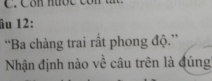 âu 12: 
“Ba chàng trai rất phong độ.” 
Nhận định nào về câu trên là đúng