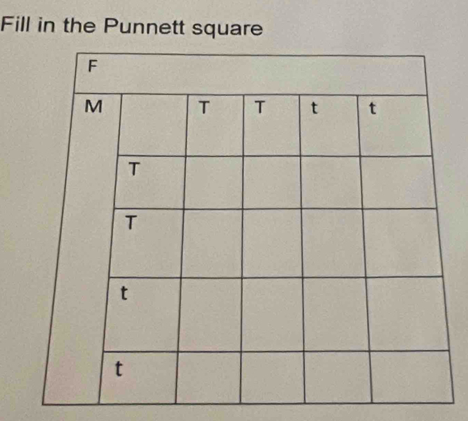 Fill in the Punnett square