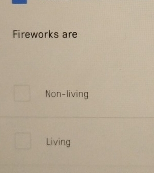 Fireworks are 
Non-living 
Living