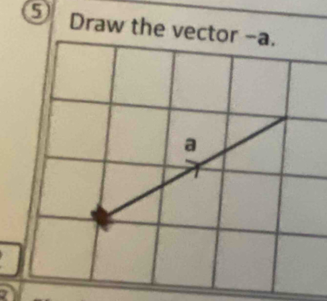 Draw the ve