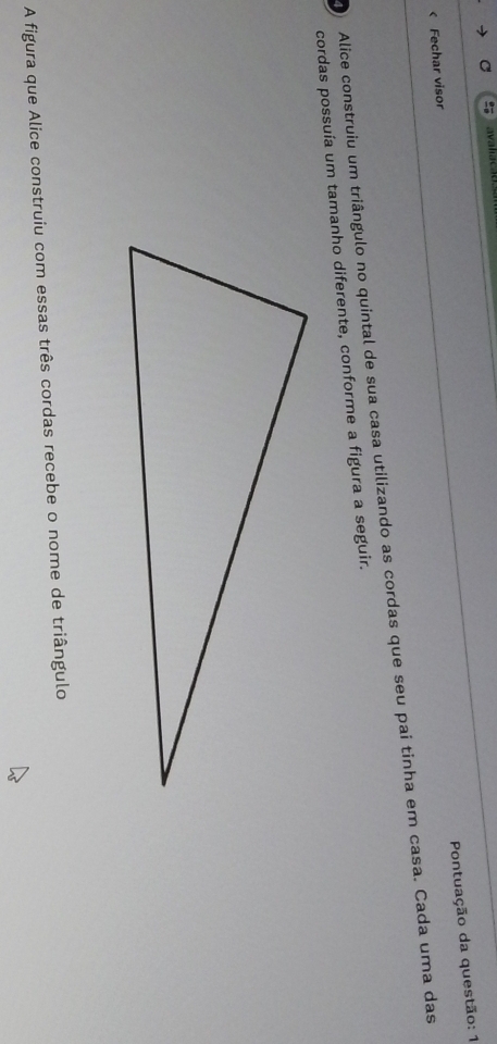 ava liac a 
Pontuação da questão: 1 
< Fechar visor 
Alice construiu um triângulo no quintal de sua casa utilizando as cordas que seu pai tinha em casa. Cada uma das 
cordas possuía um tamanho diferente, conforme a figura a seguir. 
A figura que Alice construiu com essas três cordas recebe o nome de triângulo