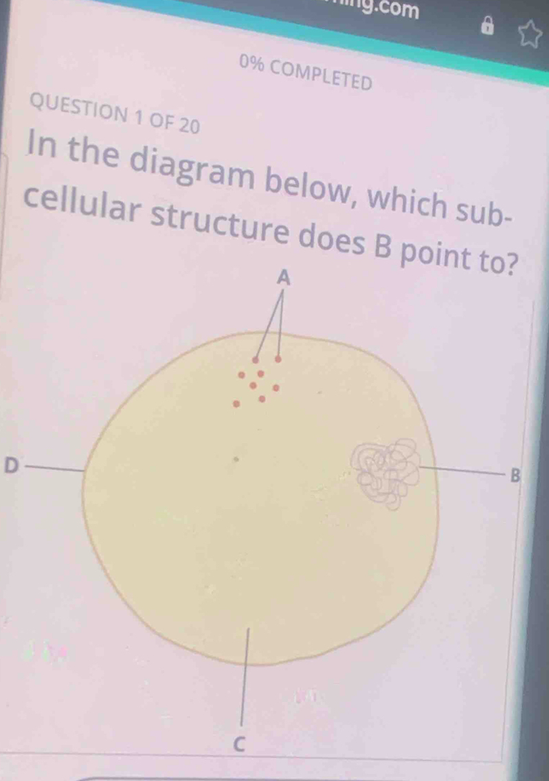 ning.com 
0% COMPLETED 
QUESTION 1 OF 20 
In the diagram below, which sub- 
cellular structure does B 
D