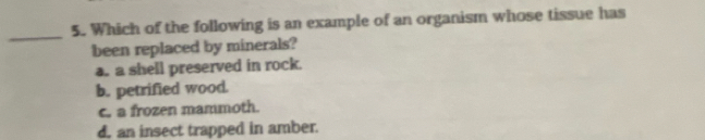 Which of the following is an example of an organism whose tissue has
_
been replaced by minerals?
a. a shell preserved in rock.
b. petrified wood.
c. a frozen mammoth.
d. an insect trapped in amber.