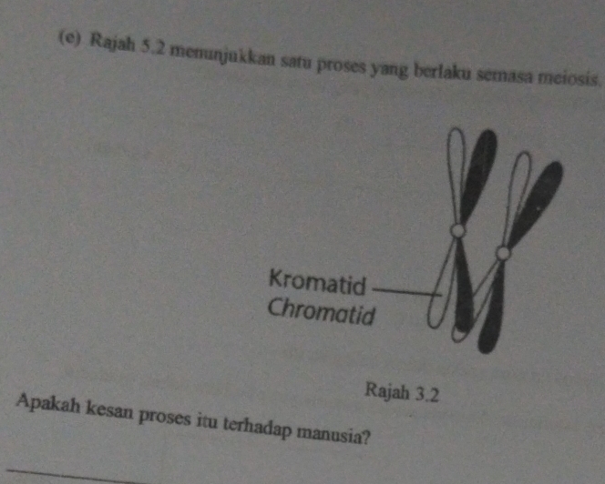 Rajah 5.2 memunjukkan satu proses yang berlaku semasa meiosis. 
Apakah kesan proses itu terhadap manusia?