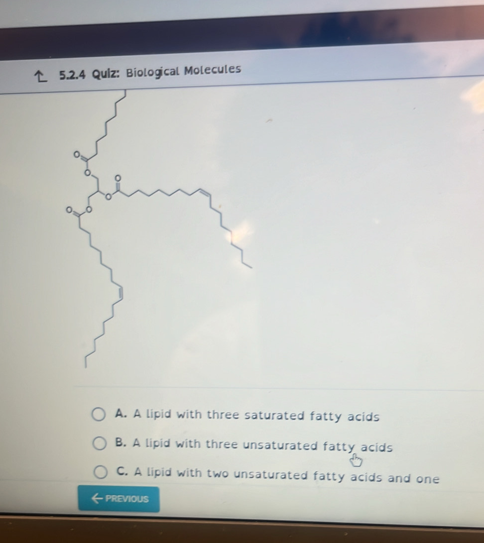 Biological Molecules
。
A. A lipid with three saturated fatty acids
B. A lipid with three unsaturated fatty acids
C. A lipid with two unsaturated fatty acids and one
PREVIOUS