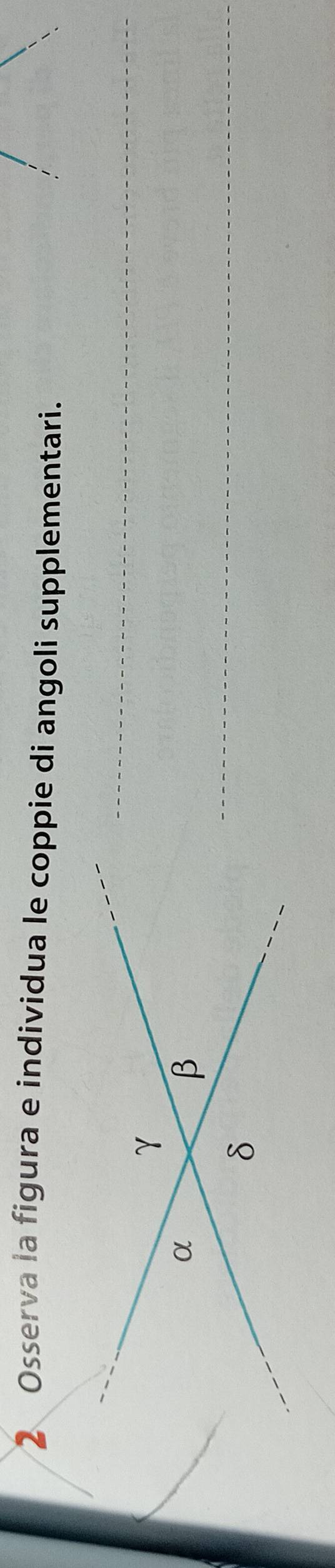 Osserva la figura e individua le coppie di angoli supplementari. 
_ 
_