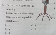 2
4. Perhatikan gambar di
samping.
Bagian tubuh virus yang
berperan untuk reproduksi
adalah nomor ...
a. 1 d. 4
b. 2 e. 5
c. 3