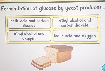 Fermentation of glucose by yeast produces...
lactic acid and carbon ethyl alcohol and
dioxide carbon dioxide.
ethyl alcohol and lactic acid and oxygen.
oxygen.