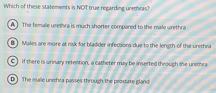 Which of these statements is NOT true regarding urethras?
A  The female urethra is much shorter compared to the male urethra
B ) Males are more at risk for bladder infections due to the length of the urethra
C  If there is urinary retention, a catheter may be inserted through the urethra
D  The male urethra passes through the prostate gland