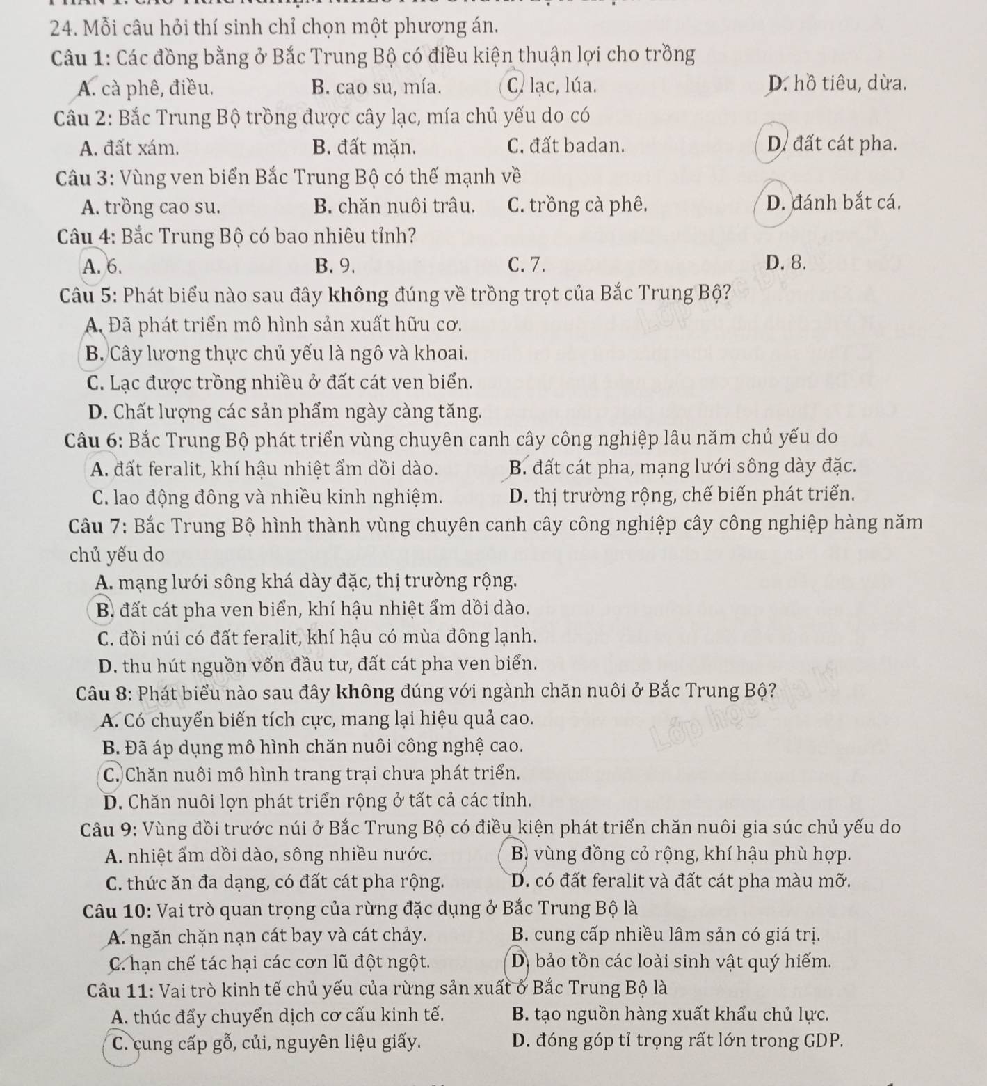 Mỗi câu hỏi thí sinh chỉ chọn một phương án.
Câu 1: Các đồng bằng ở Bắc Trung Bộ có điều kiện thuận lợi cho trồng
A. cà phê, điều. B. cao su, mía. C. lạc, lúa. D. hồ tiêu, dừa.
Câu 2: Bắc Trung Bộ trồng được cây lạc, mía chủ yếu do có
A. đất xám. B. đất mặn. C. đất badan. D. đất cát pha.
Câu 3: Vùng ven biển Bắc Trung Bộ có thế mạnh về
A. trồng cao su. B. chăn nuôi trâu. C. trồng cà phê. D. đánh bắt cá.
Câu 4: Bắc Trung Bộ có bao nhiêu tỉnh?
A. 6. B. 9. C. 7. D. 8.
Câu 5: Phát biểu nào sau đây không đúng về trồng trọt của Bắc Trung Bộ?
A Đã phát triển mô hình sản xuất hữu cơ,
B. Cây lương thực chủ yếu là ngô và khoai.
C. Lạc được trồng nhiều ở đất cát ven biển.
D. Chất lượng các sản phẩm ngày càng tăng.
Câu 6: Bắc Trung Bộ phát triển vùng chuyên canh cây công nghiệp lâu năm chủ yếu do
A. đất feralit, khí hậu nhiệt ẩm dồi dào. B. đất cát pha, mạng lưới sông dày đặc.
C. lao động đông và nhiều kinh nghiệm. D. thị trường rộng, chế biến phát triển.
Câu 7: Bắc Trung Bộ hình thành vùng chuyên canh cây công nghiệp cây công nghiệp hàng năm
chủ yếu do
A. mạng lưới sông khá dày đặc, thị trường rộng.
B đất cát pha ven biển, khí hậu nhiệt ẩm dồi dào.
C. đồi núi có đất feralit, khí hậu có mùa đông lạnh.
D. thu hút nguồn vốn đầu tư, đất cát pha ven biển.
Câu 8: Phát biểu nào sau đây không đúng với ngành chăn nuôi ở Bắc Trung Bộ?
A. Có chuyển biến tích cực, mang lại hiệu quả cao.
B. Đã áp dụng mô hình chăn nuôi công nghệ cao.
C. Chăn nuôi mô hình trang trại chưa phát triển.
D. Chăn nuôi lợn phát triển rộng ở tất cả các tỉnh.
Câu 9: Vùng đồi trước núi ở Bắc Trung Bộ có điều kiện phát triển chăn nuôi gia súc chủ yếu do
A. nhiệt ẩm dồi dào, sông nhiều nước.  B vùng đồng cỏ rộng, khí hậu phù hợp.
C. thức ăn đa dạng, có đất cát pha rộng. D. có đất feralit và đất cát pha màu mỡ.
Câu 10: Vai trò quan trọng của rừng đặc dụng ở Bắc Trung Bộ là
A. ngăn chặn nạn cát bay và cát chảy. B. cung cấp nhiều lâm sản có giá trị.
C. hạn chế tác hại các cơn lũ đột ngột. D) bảo tồn các loài sinh vật quý hiếm.
Câu 11: Vai trò kinh tế chủ yếu của rừng sản xuất ở Bắc Trung Bộ là
A. thúc đẩy chuyển dịch cơ cấu kinh tế.  B. tạo nguồn hàng xuất khẩu chủ lực.
C. cung cấp gỗ, củi, nguyên liệu giấy. D. đóng góp tỉ trọng rất lớn trong GDP.