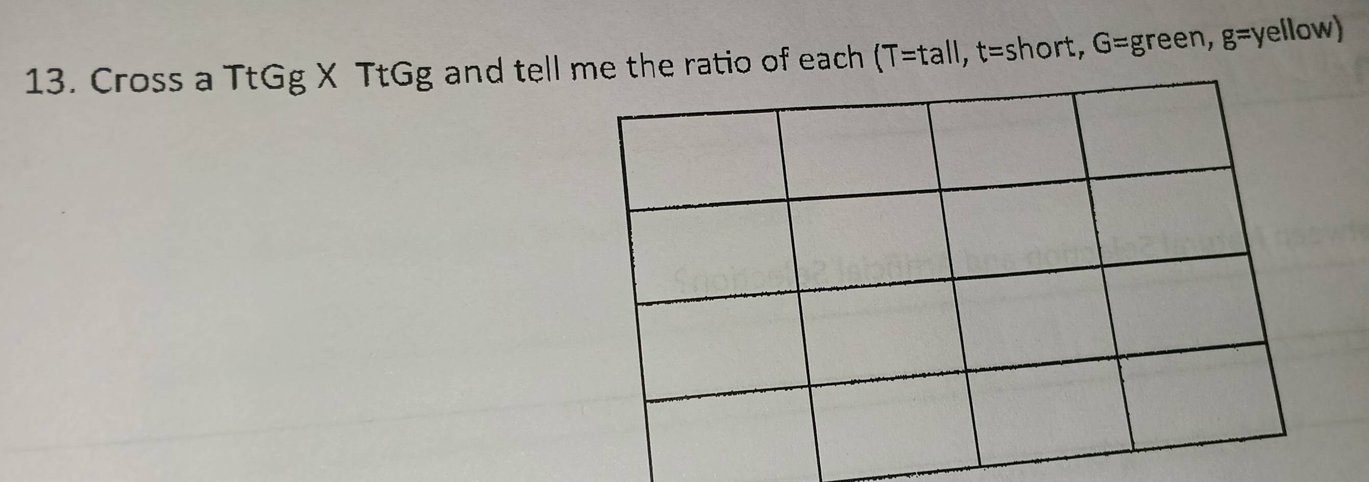 Cross a TtGg X TtGg and tell me the ratio of each (T=tall, t=s hort, G=gree n, g=yellov v)