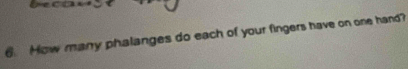 How many phalanges do each of your fingers have on one hand?