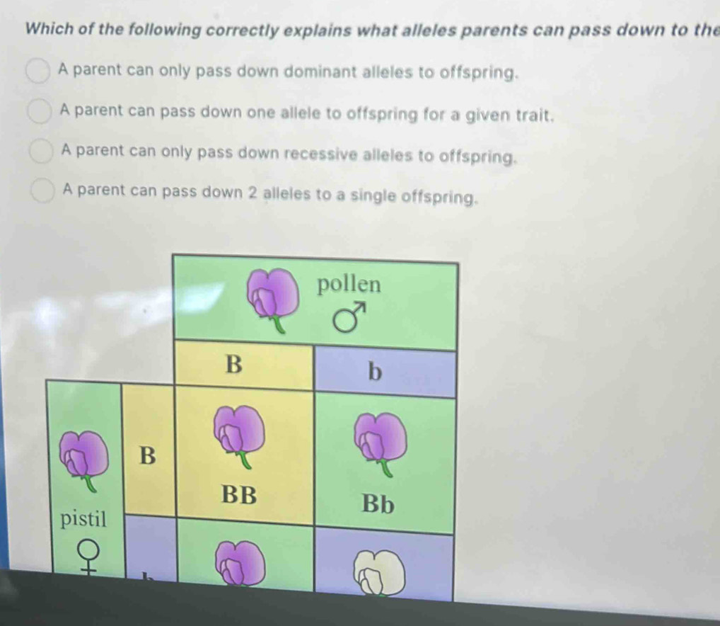 Solved: Which of the following correctly explains what alleles parents ...