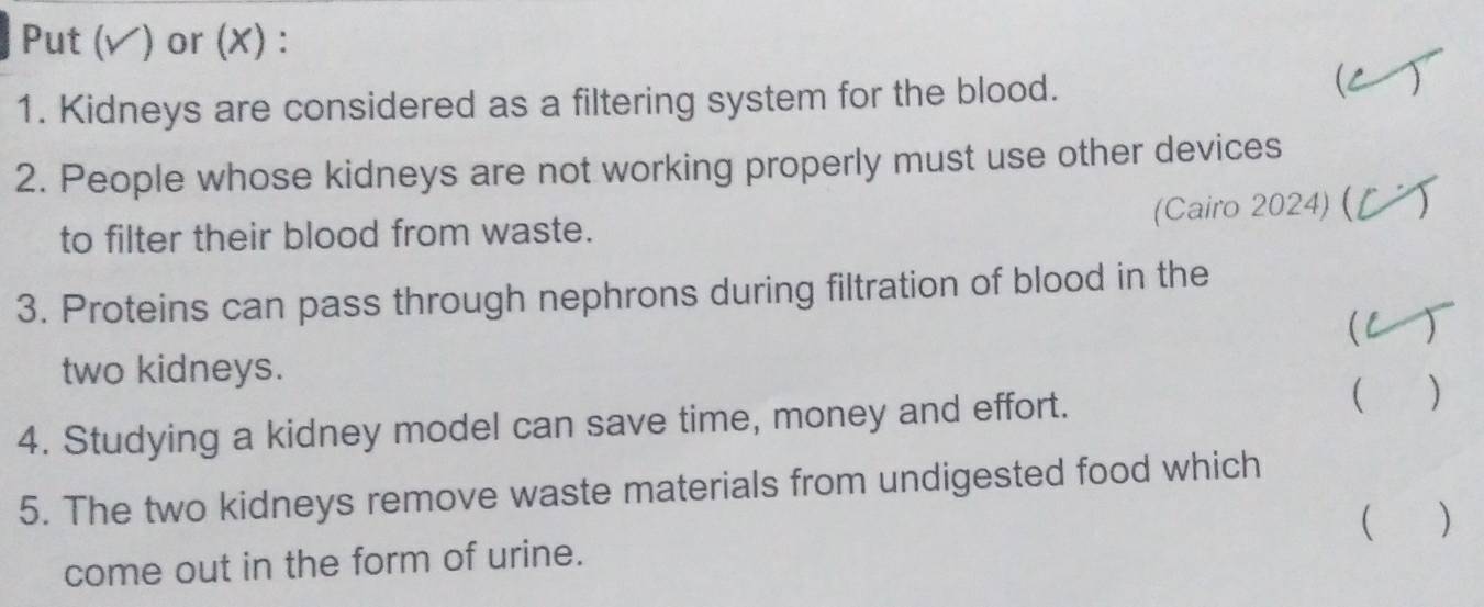 Put (◤) or (X) : 
1. Kidneys are considered as a filtering system for the blood. 
C  
2. People whose kidneys are not working properly must use other devices 
(Cairo 2024) ( 
to filter their blood from waste. 
3. Proteins can pass through nephrons during filtration of blood in the 
(L ) 
two kidneys. 
4. Studying a kidney model can save time, money and effort.  ) 
5. The two kidneys remove waste materials from undigested food which 
come out in the form of urine. ( )