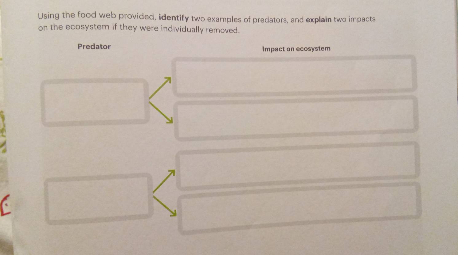 Using the food web provided, identify two examples of predators, and explain two impacts 
on the ecosystem if they were individually removed. 
Predator 
Impact on ecosystem