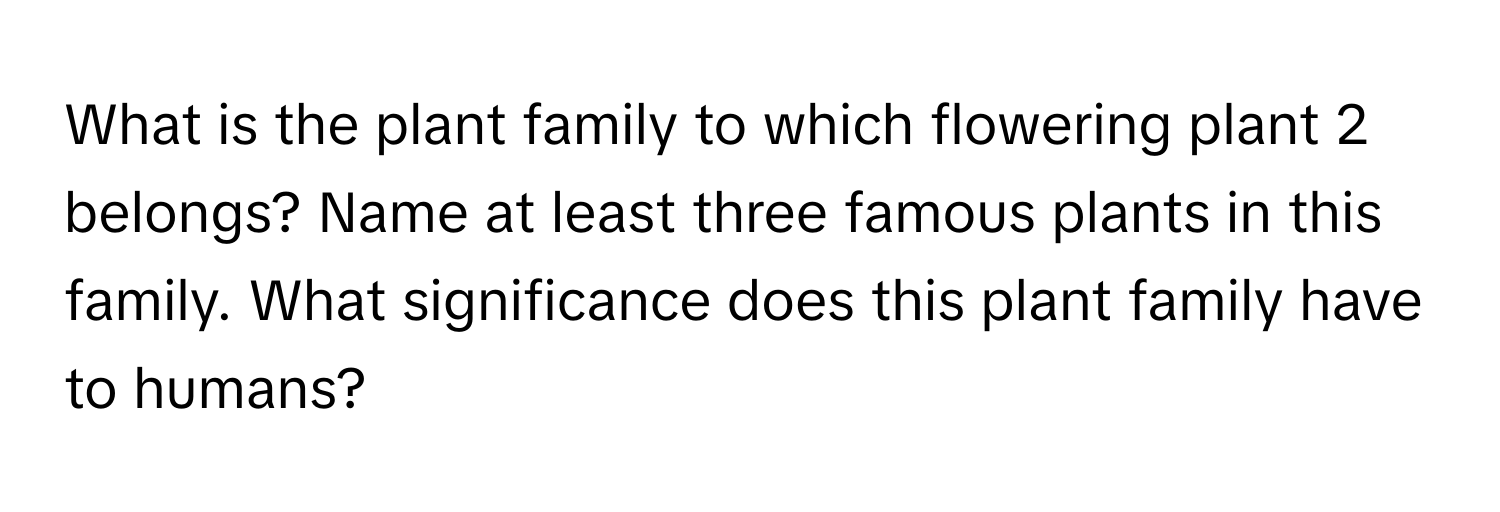 What is the plant family to which flowering plant 2 belongs? Name at least three famous plants in this family. What significance does this plant family have to humans?