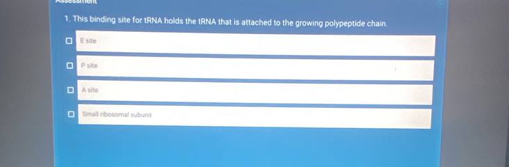 This binding site for tRNA holds the tRNA that is attached to the growing polypeptide chain.
E site
P site
A site
Small ribosomal subunit