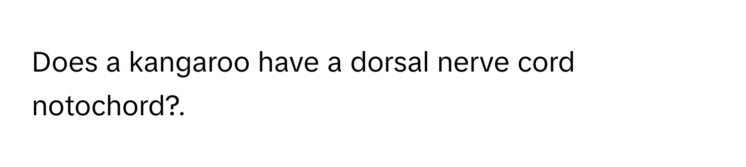 Does a kangaroo have a dorsal nerve cord notochord?.