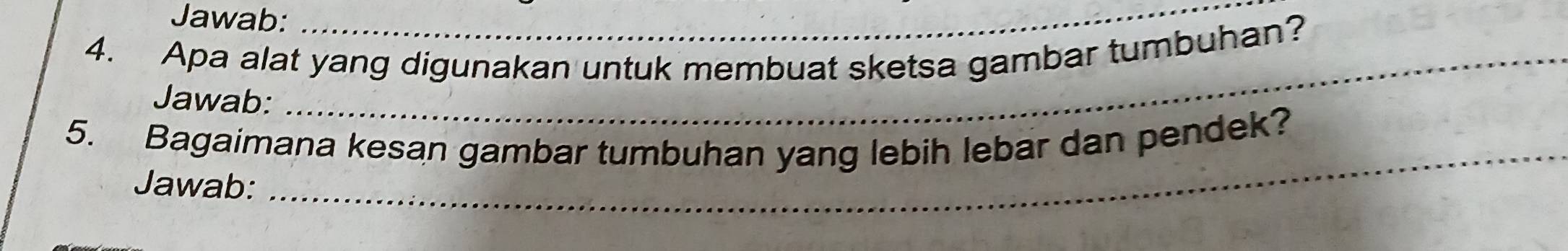 Jawab:_ 
4. Apa alat yang digunakan untuk membuat sketsa gambar tumbuhan? 
Jawab: 
5. Bagaimana kesan gambar tumbuhan yang lebih lebar dan pendek? 
Jawab: 
_