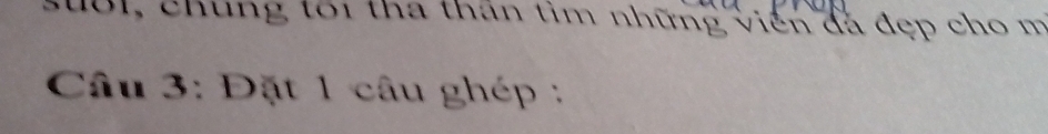 0l, chung tôi tha thần tìm những viên đá đẹp cho m 
Câu 3: Đặt 1 câu ghép :
