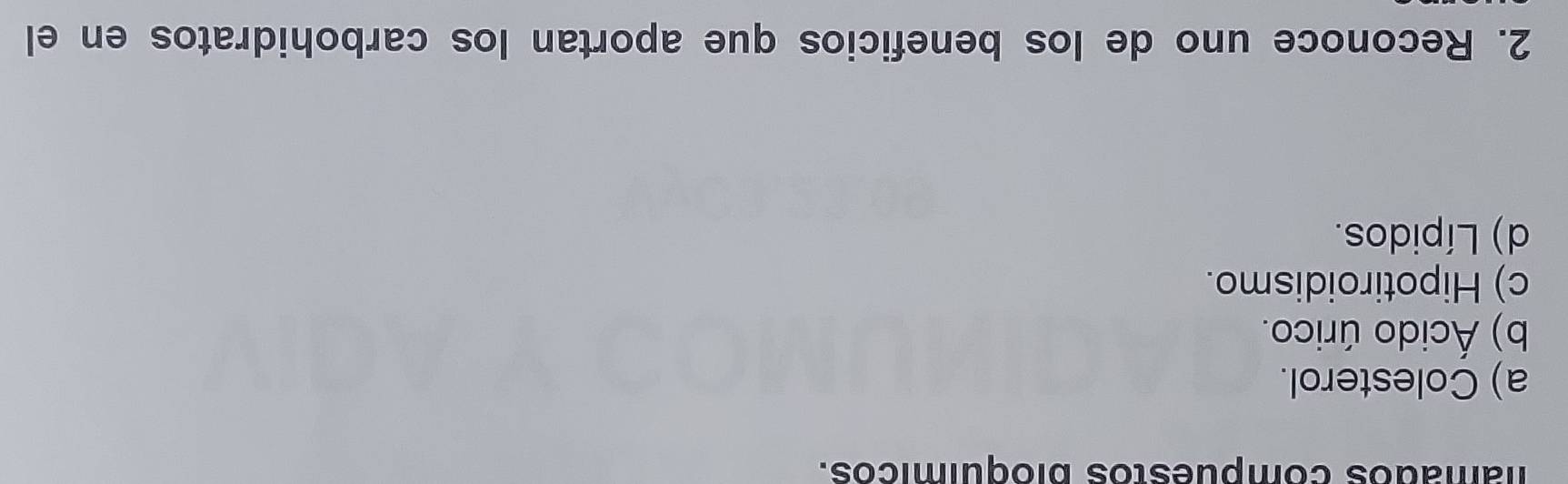 mamados compuestos bioquímicos.
a) Colesterol.
b) Ácido úrico.
c) Hipotiroidismo.
d) Lípidos.
2. Reconoce uno de los beneficios que aportan los carbohidratos en el