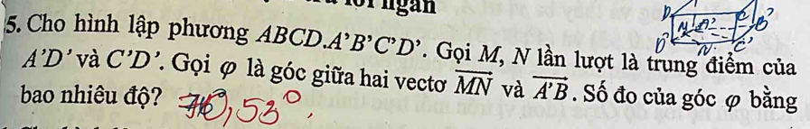 for lgàn 
5. Cho hình lập phương ABCl ).A 3 B^,D^, T. Gọi M, N lần lượt là trung điểm của
A'D' và C'D Gọi φ là góc giữa hai vectơ vector MN và vector A'B
bao nhiêu độ? . Số đo của góc φ bằng