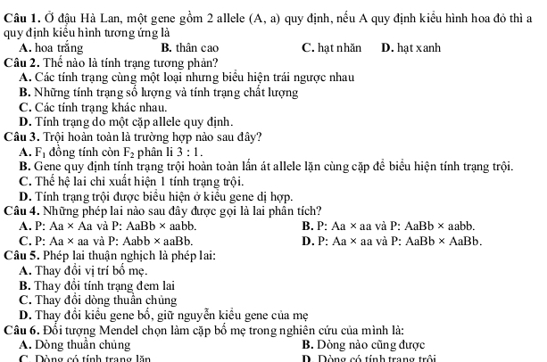 Ở đậu Hà Lan, một gene gồm 2 allele (A,a) quy định, nếu A quy định kiểu hình hoa đỏ thì a
quy định kiểu hình tương ứng là
A. hoa trắng B. thân cao C. hạt nhăn D. hạt xanh
Câu 2. Thể nào là tính trạng tương phản?
A. Các tính trạng cùng một loại nhưng biểu hiện trái ngược nhau
B. Những tính trạng số lượng và tính trạng chất lượng
C. Các tính trạng khác nhau.
D. Tính trạng do một cặp allele quy định.
Câu 3. Trội hoàn toàn là trường hợp nảo sau đây?
A. F_1 đồng tính còn F_2 phân li 3:1.
B. Gene quy định tính trạng trội hoàn toàn lần át allele lặn cùng cặp để biểu hiện tính trạng trội.
C. Thể hệ lai chỉ xuất hiện 1 tính trạng trội.
D. Tính trạng trội được biểu hiện ở kiểu gene dị hợp.
Câu 4. Những phép lai nào sau đây được gọi là lai phân tích?
A. P: Aa* Aa và P:AaBb* aabb B. P:Aa* a: a và P:AaBb* aabb.
C. P: Aa* aa và P P:Aabb* aaBb. D. P:Aa* a a và P:AaBb* AaBb.
Câu 5. Phép lai thuận nghịch là phép lai:
A. Thay đổi vị trí bố mẹ.
B. Thay đồi tính trạng đem lai
C. Thay đồi dòng thuần chủng
D. Thay đổi kiểu gene bố, giữ nguyễn kiều gene của mẹ
Câu 6. Đổi tượng Mendel chọn làm cặp bố mẹ trong nghiên cứu của mình là:
A. Dòng thuần chủng B. Dòng nào cũng được
C. Dòng có tính trang lăn D. Dòng có tính trang trôi