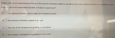 Kristen sets up an experiment to find out if the amount of fertilizer added to soil affects how many strawberries grow on a strawbery ster
Wisat would be the dependent variable in Kristen's experiment?
A the amount of water used to water the strawberry plants
B. the amount of fertilizer added to the soil
C. the size of the strawberries growing on the plants
D. the number of strawberries growing on each plant