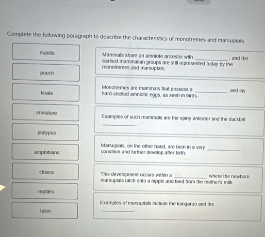 Complete the following paragraph to describe the characteristics of monotremes and marsupials. 
mantle Mammals share an amniote ancestor with _, and the 
earliest mammalian groups are still represented today by the 
monotremes and marsupials. 
pouch 
Monotremes are mammals that possess a _and lay 
koala hard-shelled amniotic eggs, as seen in birds. 
immature Examples of such mammals are the spiny anteater and the duckbill 
_. 
platypus 
Marsupials, on the other hand, are born in a very_ 
amphibians condition and further develop after birth. 
cloaca This development occurs within a _where the newborn 
marsupials latch onto a nipple and feed from the mother's milk. 
reptiles 
_ 
Examples of marsupials include the kangaroo and the 
_ 
talon .