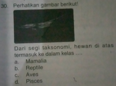 Perhatikan gambar berikut!
Dari segi taksonomi, hewan di atas
termasuk ke dalam kelas ....
a. Mamalia
b. Reptile
c. Aves
d. Pisces