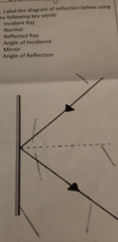 Label the diagram of reflection below using 
he following key words . 
Incident Ray 
Normal 
Reflected Ray 
Angle of Incidence 
Mirror 
Angle of Reflection