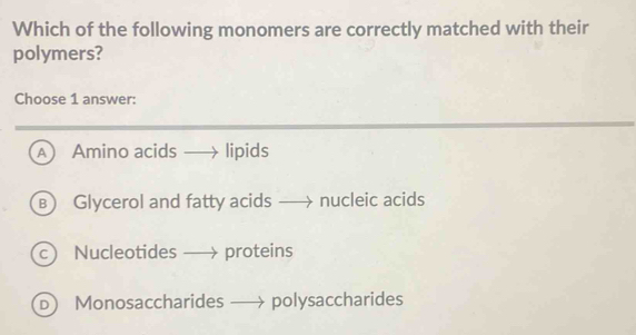 Which of the following monomers are correctly matched with their
polymers?
Choose 1 answer:
A Amino acids lipids
B Glycerol and fatty acids nucleic acids
c Nucleotides —→ proteins
D Monosaccharides —→ polysaccharides