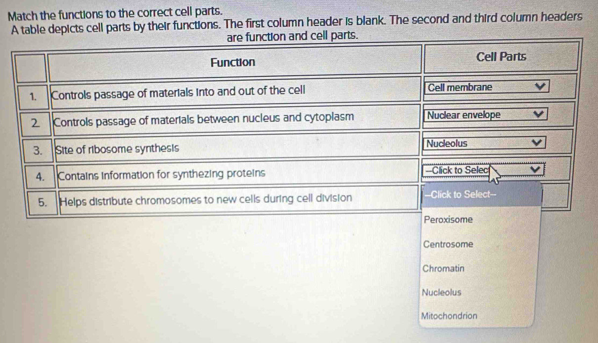 Solved: Match the functions to the correct cell parts. A table depicts ...