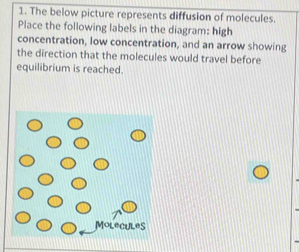 The below picture represents diffusion of molecules. 
Place the following labels in the diagram: high 
concentration, low concentration, and an arrow showing 
the direction that the molecules would travel before 
equilibrium is reached. 
Molecules