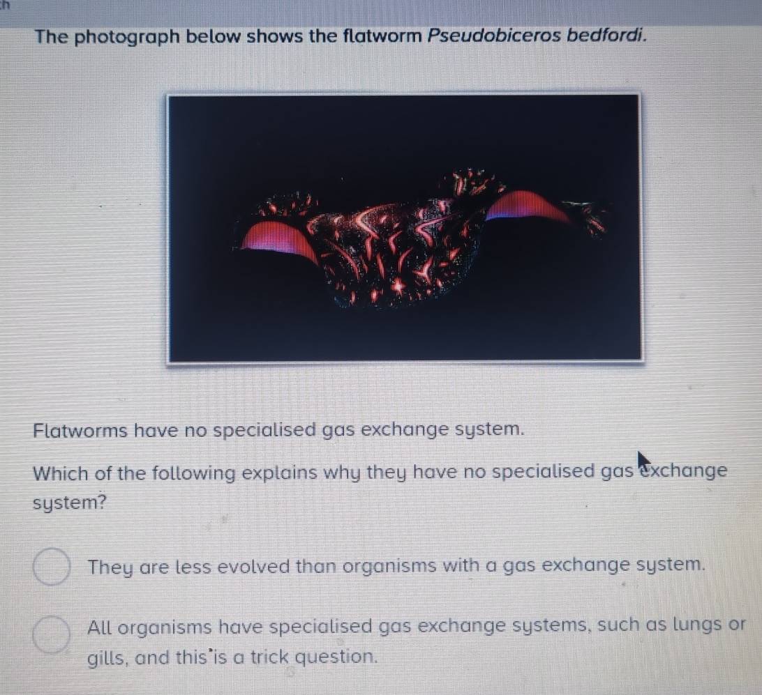 The photograph below shows the flatworm Pseudobiceros bedfordi.
Flatworms have no specialised gas exchange system.
Which of the following explains why they have no specialised gas exchange
system?
They are less evolved than organisms with a gas exchange system.
All organisms have specialised gas exchange systems, such as lungs or
gills, and this’is a trick question.