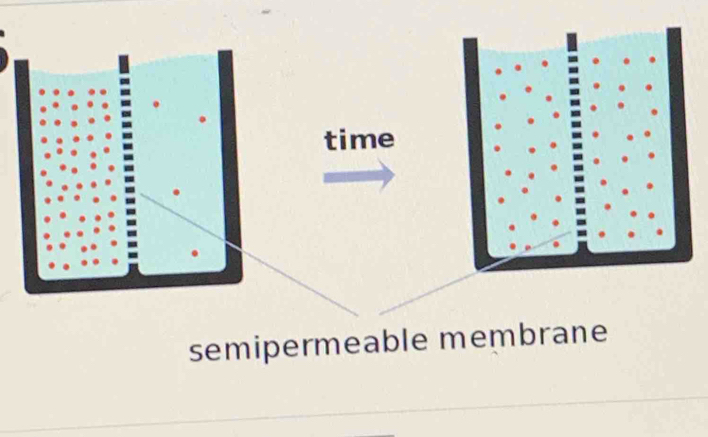 time 
semipermeable membrane