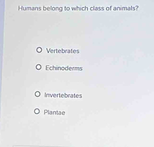 Humans belong to which class of animals?
Vertebrates
Echinoderms
Invertebrates
Plantae