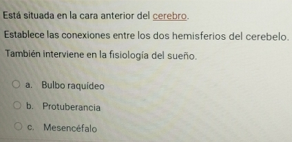 Está situada en la cara anterior del cerebro.
Establece las conexiones entre los dos hemisferios del cerebelo.
También interviene en la fisiología del sueño.
a. Bulbo raquídeo
b. Protuberancia
c. Mesencéfalo