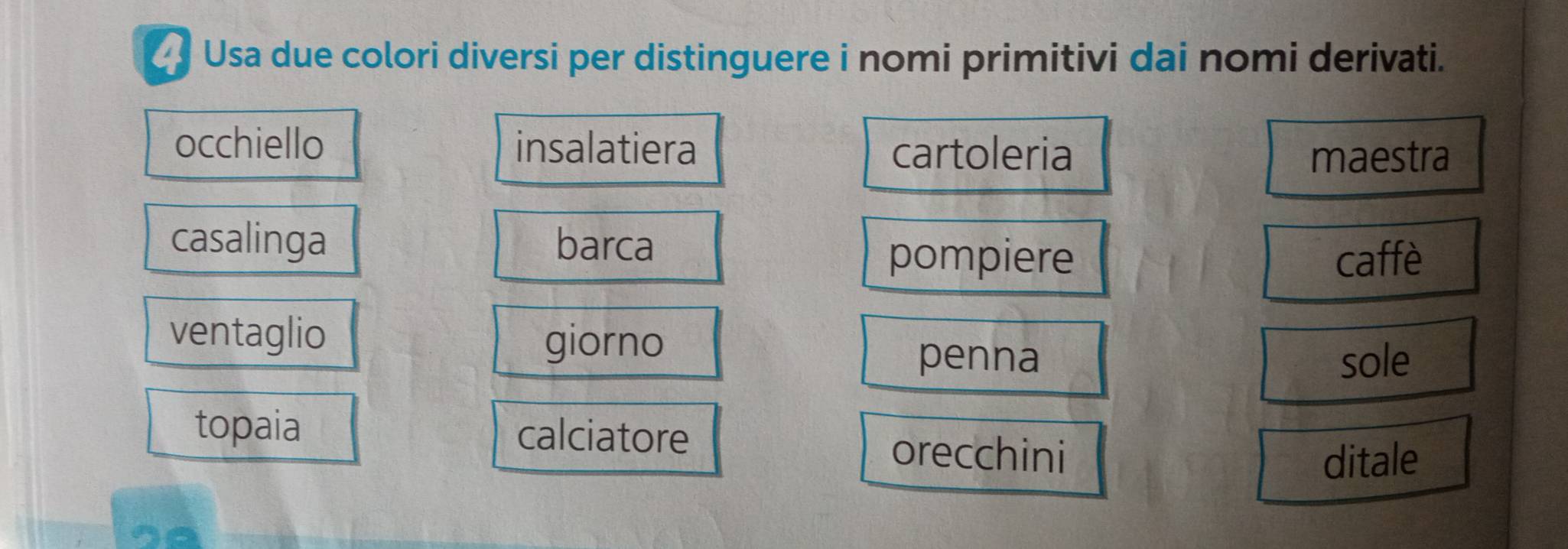 Usa due colori diversi per distinguere i nomi primitivi dai nomi derivati.
occhiello insalatiera cartoleria
maestra
casalinga barca
pompiere caffè
ventaglio
giorno
penna sole
topaia calciatore orecchini
ditale