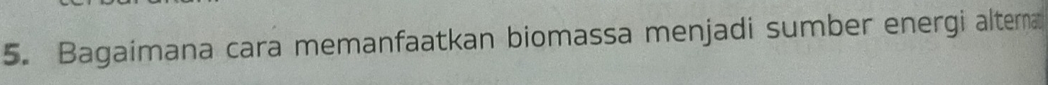 Bagaimana cara memanfaatkan biomassa menjadi sumber energi alterna