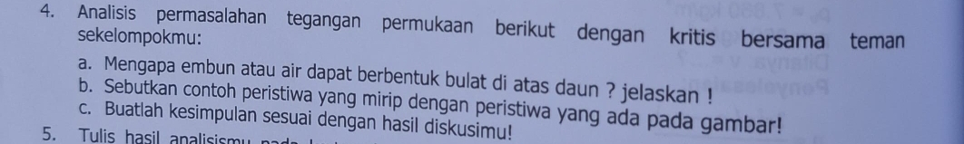 Analisis permasalahan tegangan permukaan berikut dengan kritis bersama teman 
sekelompokmu: 
a. Mengapa embun atau air dapat berbentuk bulat di atas daun ? jelaskan ! 
b. Sebutkan contoh peristiwa yang mirip dengan peristiwa yang ada pada gambar! 
c. Buatlah kesimpulan sesuai dengan hasil diskusimu! 
5. Tulis hasil analisism